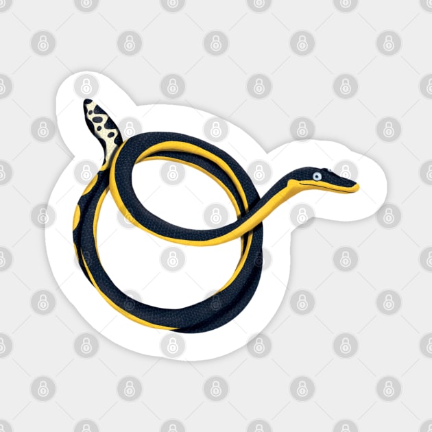 O - Yellow-bellied sea snake Magnet by miim-ilustra