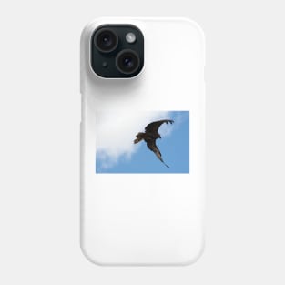 Whistling Kite Feeding On the Wing Phone Case