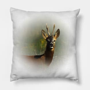 Roebuck Pillow