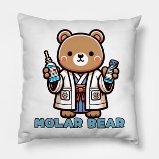 Chemistry bear Pillow