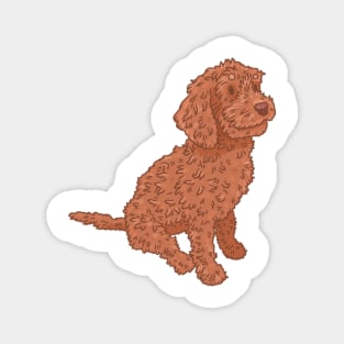 Red Cockapoo Magnet