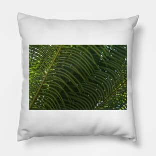A Pixelated Fern Experience © Pillow