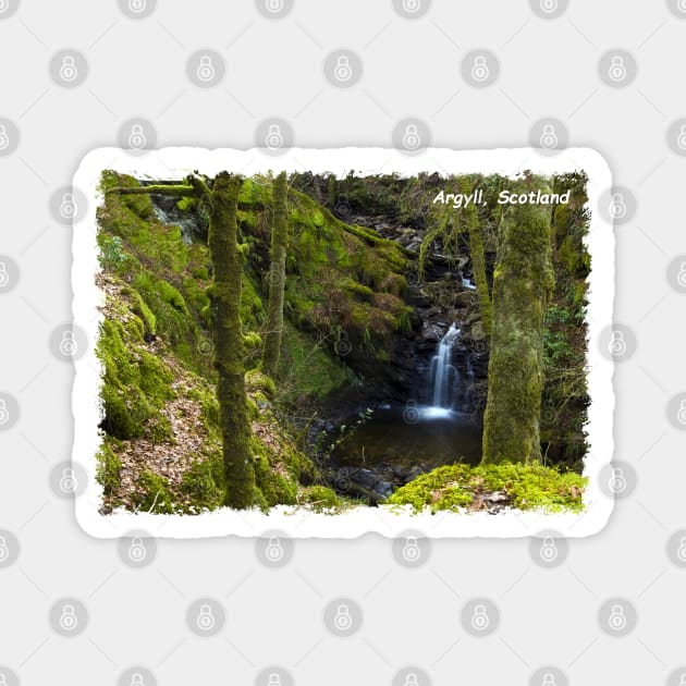 Argyll Waterfall, Scotland Magnet by JeanKellyPhoto