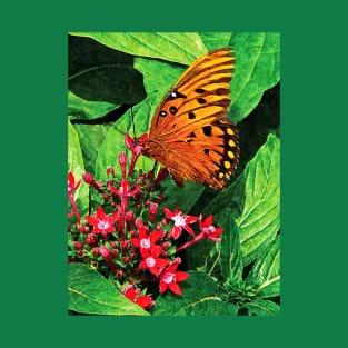 Butterflies - Orange Butterfly on Kalanchoe T-Shirt