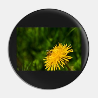 Bee on dandelion Pin