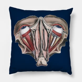 Vintage Human Anatomy Eyeballs Pillow