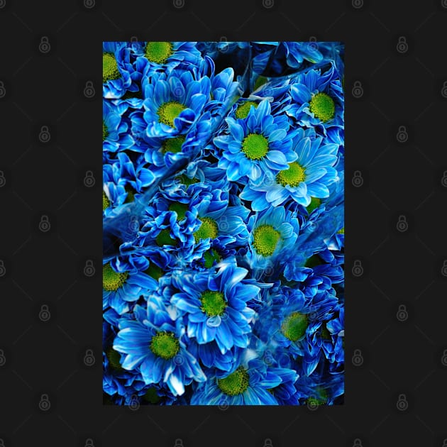 Blue Flowers by SashaRusso