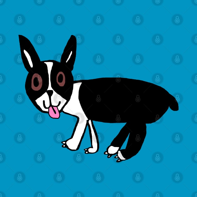 8 year old Jack: Boston Terrier by Colonel JD McShiteBurger