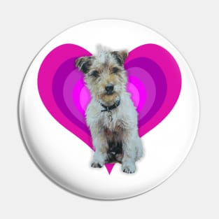 Gorgeous Jack Russell pup on a rainbow heart Pin