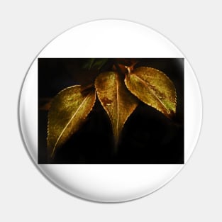 gold vine leaves Pin