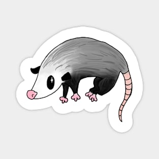 Cute Opossum Magnet