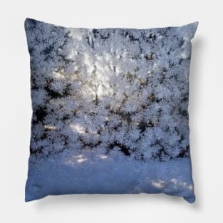 Frost Pillow