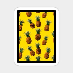 Pineapple Pattern Magnet