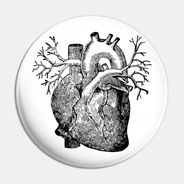 Anatomical heart 2.0 Pin by euglenii