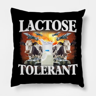 Lactose Tolerant Pillow