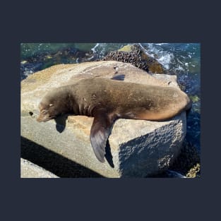 Sea Lion Laying with Flipper Out T-Shirt