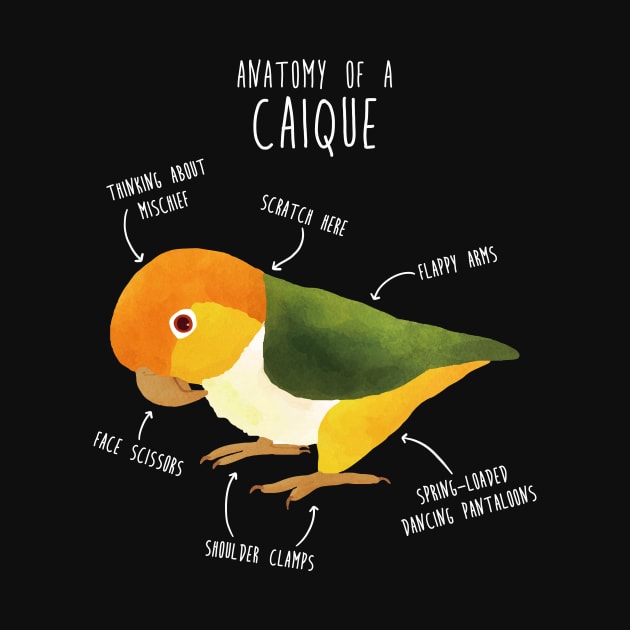 Anatomy of a White-Bellied Caique by Psitta