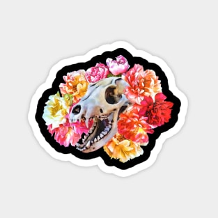 Vixen Skull in peonies bed Magnet