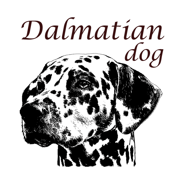 Dalmatian Dog by hudayadi