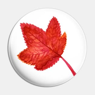 Maple leaf Pin