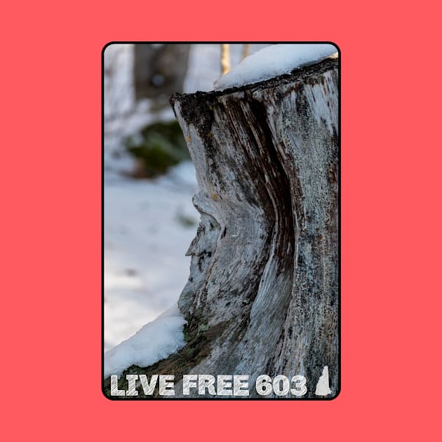 Live Free 603 - Old Man of the Mountain by MagpieMoonUSA