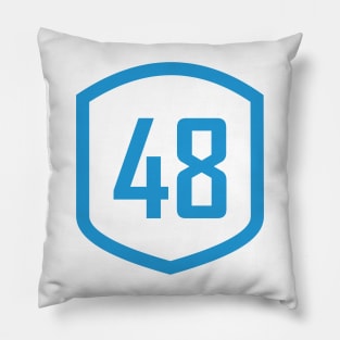 Jimmie Johnson Racing Shield Pillow