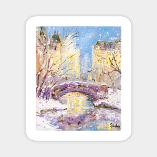 Winter in Central Park. New York Magnet