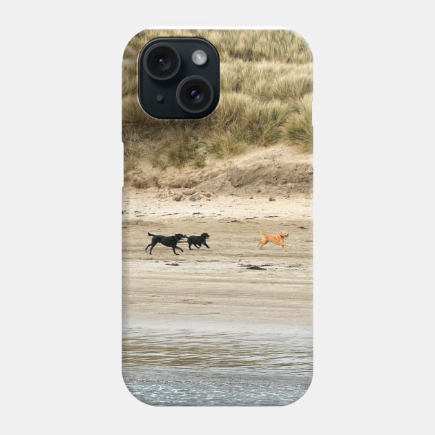 Four Dogs: Dog walkers on the beach - Beadnell, Northumberland, UK Phone Case by richflintphoto