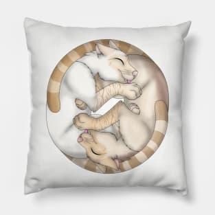 Yin-Yang Cats: Cream Lynx Point Pillow