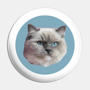 Ragdoll Cat Pin