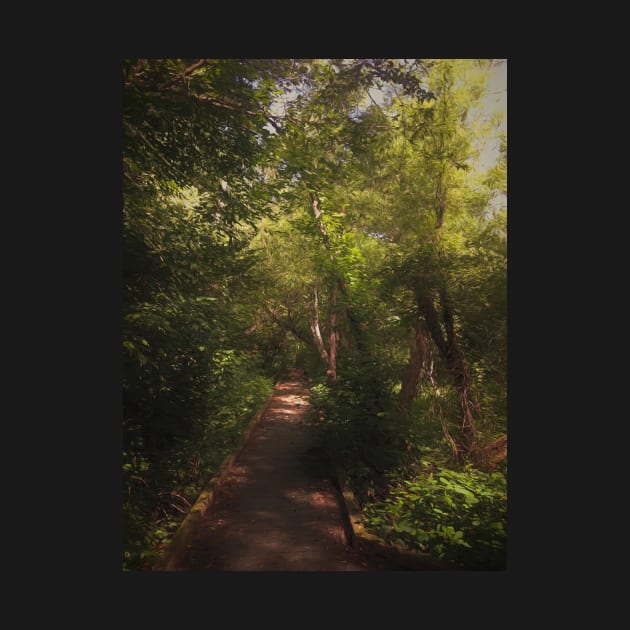 Boardwalk into the Forest by DanielEskridge