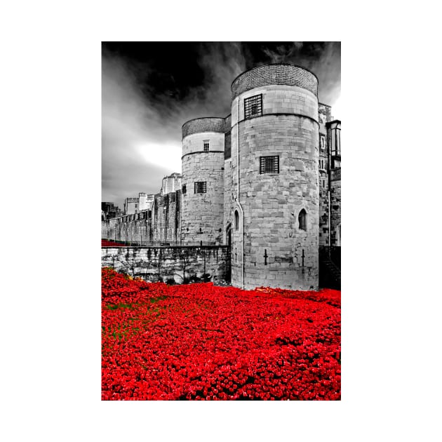 Tower of London Red Poppies England by AndyEvansPhotos