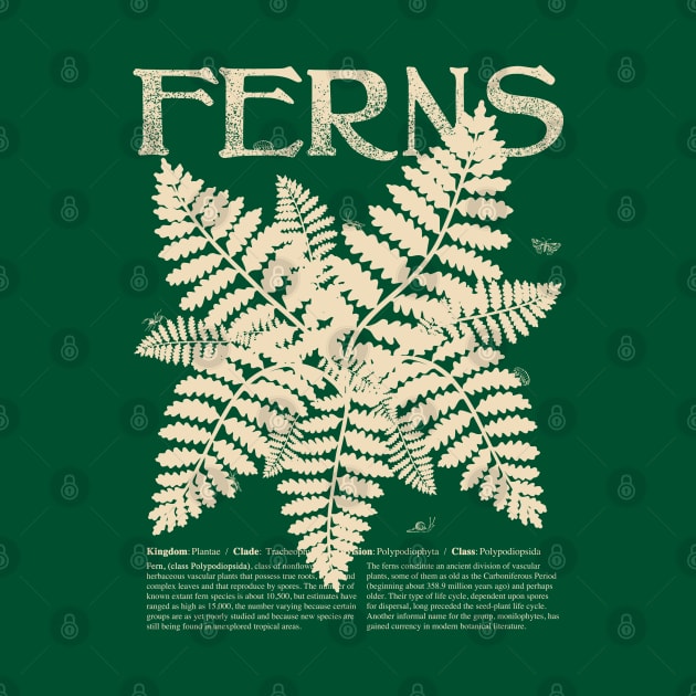 FERN Plant Shirt with Description and Cute Bugs Botany Shirt for Garden Lover Educational Gift by Plant Rad