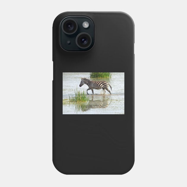 Solo Zebra Crossing, Amboseli, Kenya Phone Case by Carole-Anne