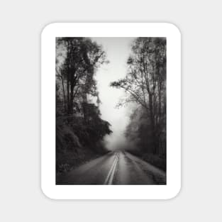 Foggy Mountain Drive Magnet