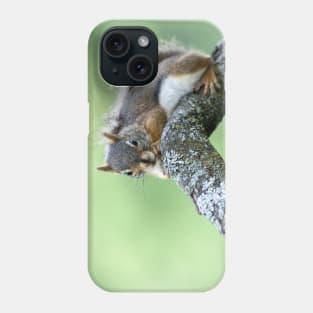 Red Squirrel Phone Case