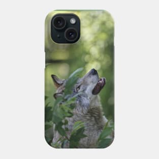 Timber Wolf Phone Case