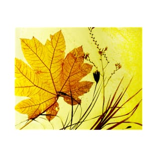 Autumn leaf and Grass T-Shirt