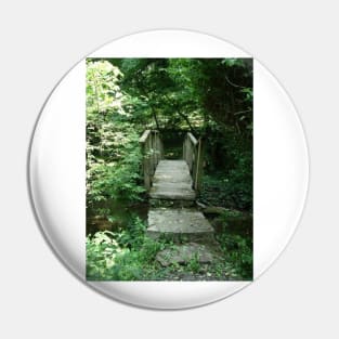 Path of Life Pin