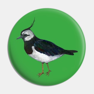 An acrylic painting of a Northern lapwing Pin