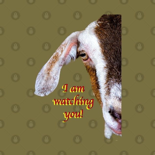 I am Watching You Goat! by dalyndigaital2@gmail.com