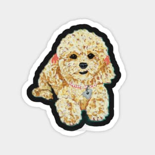 Stella the Mini Poodle II Magnet