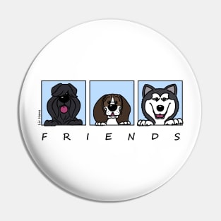 Friends Pin