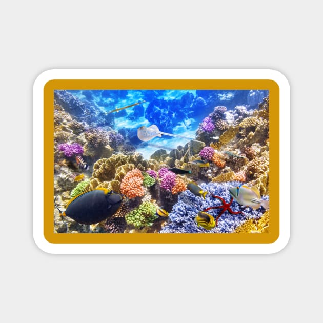 Underwater world coral reef photography Magnet by HANART