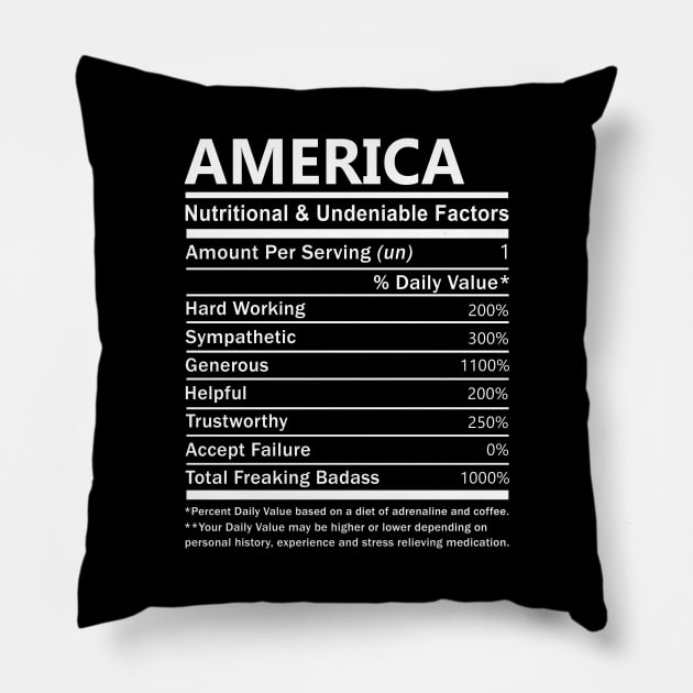 America Name T Shirt - America Nutritional and Undeniable Name Factors Gift Item Tee Pillow by nikitak4um