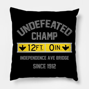 Independence Ave Bridge Pillow