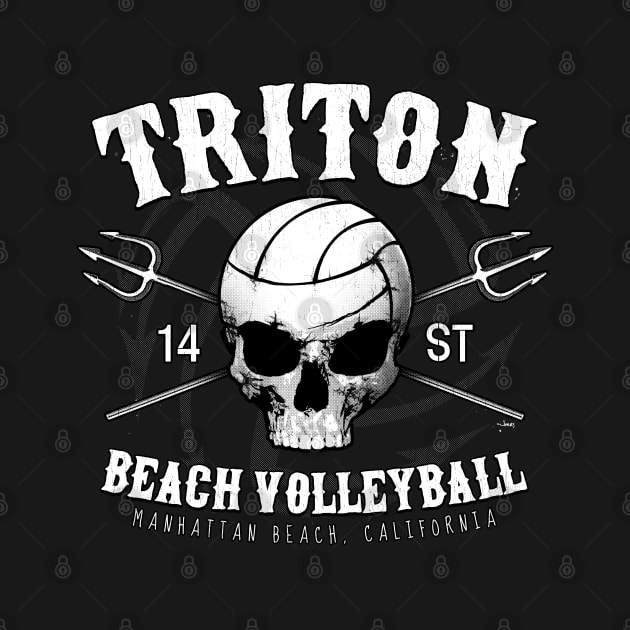 Triton Organizers Skull Shirt by cjboco