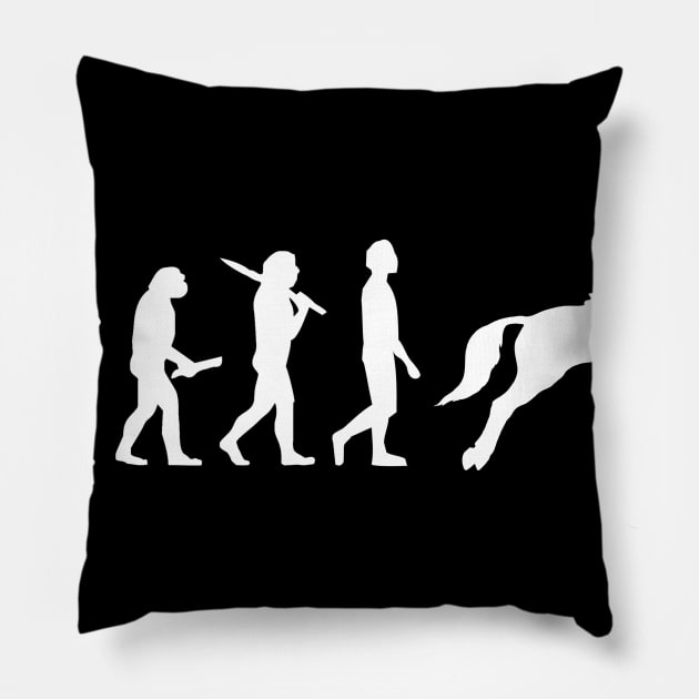 Funny Horse Riding Evolution Gift For Riders Pillow by OceanRadar