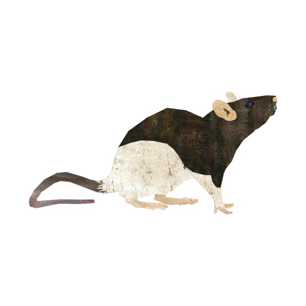 Rat by Babban Gaelg