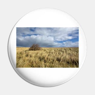 Northumberland Skies Pin